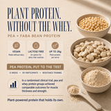 Strawberry Cheesecake x10 Sachet Pack pea and faba bean plant protein benefits with up to 26g protein per serve